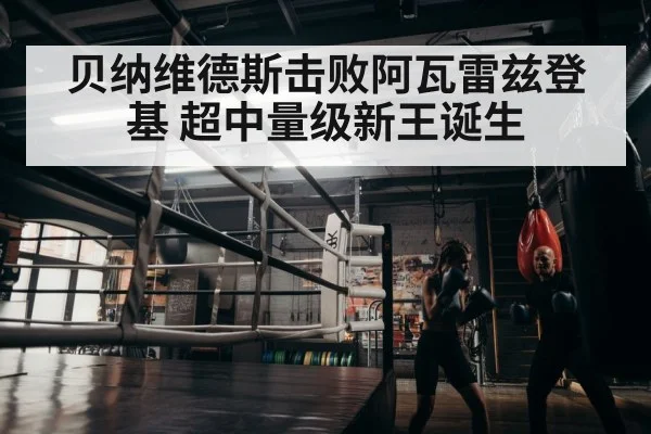 boxer training